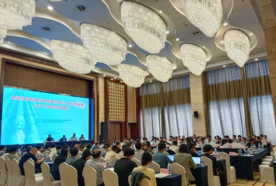 共研标准新篇！德创环保参与全国化标委催化剂分技术委员会2025年标准审查工作会议